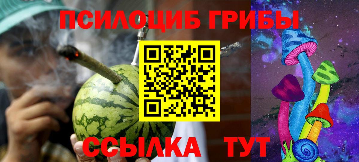 Екатеринбург  Галлюциногенные грибы прущие грибы  Вход с VPN 