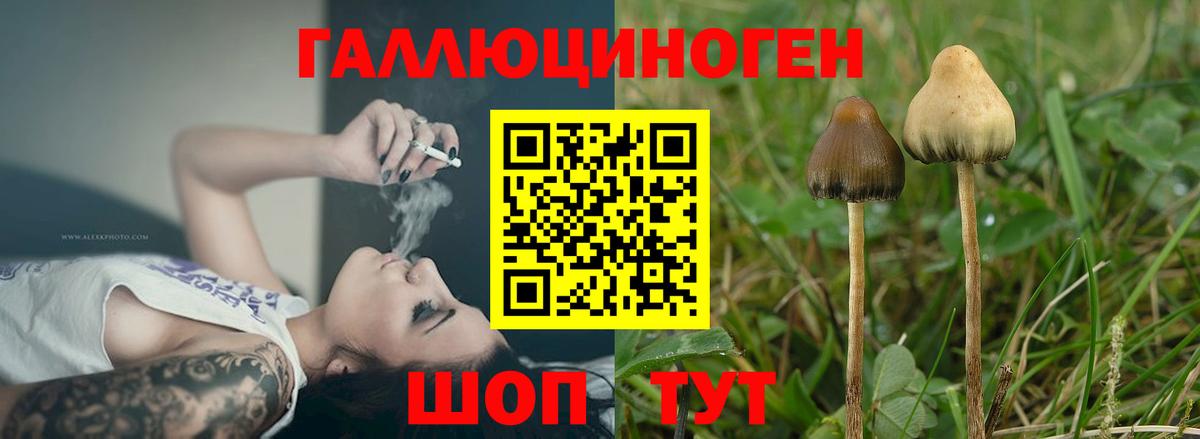 Галлюциногенные грибы мухоморы Екатеринбург